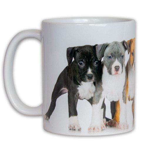 Hrnek – Štěňata Americký Pitbulteriér — foto 2