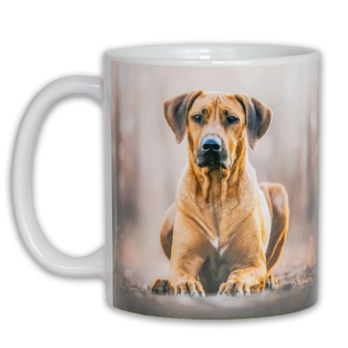 Hrnek – Pes ridgeback — foto 2