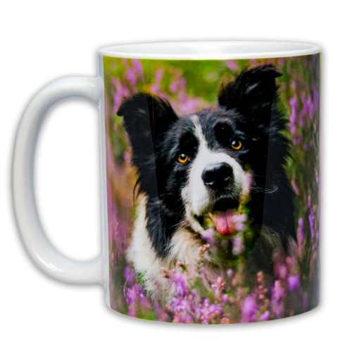 Hrnek – Pes Border Collie — foto 2