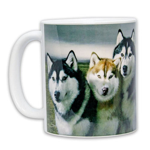 Hrnek – Pejsci Sibiřský Husky — foto 2