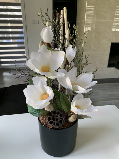 Magnolie 60cm — foto 4