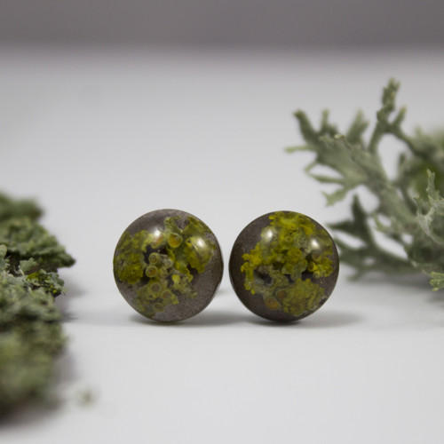 Náušnice lišejník 10 mm — foto 3
