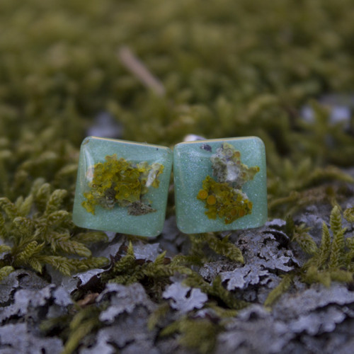 Náušnice lišejník 10 mm — foto 6