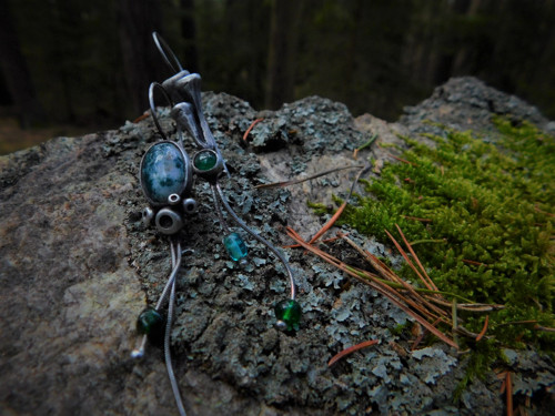 Cladonia... — foto 4