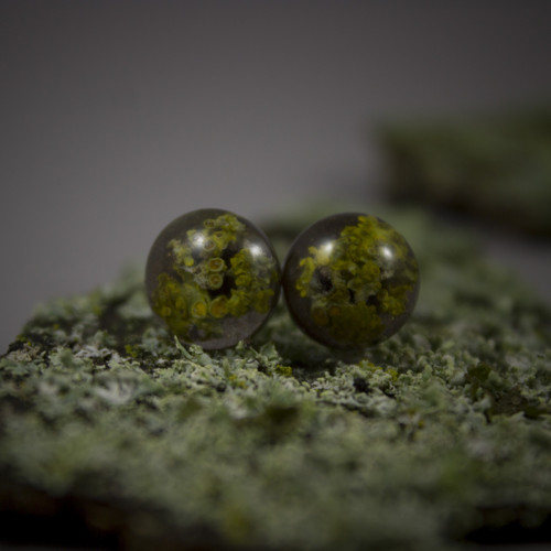 Náušnice lišejník 10 mm — foto 6
