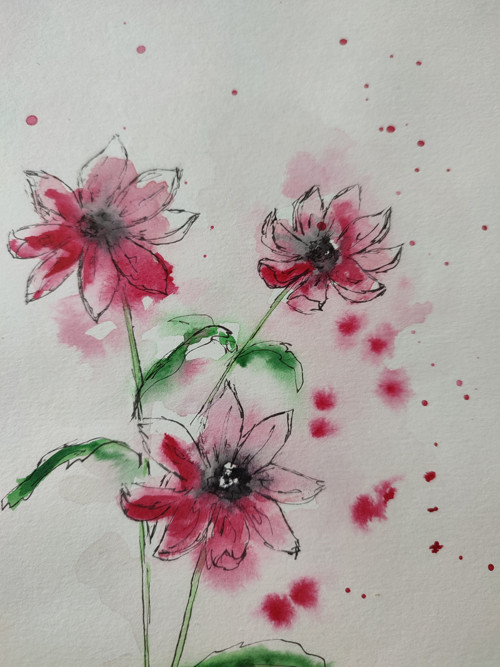 Kvítí — foto 3
