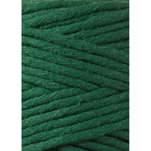 Bobbiny Macrame Regular 3mm - borovicová - 4m — foto 2