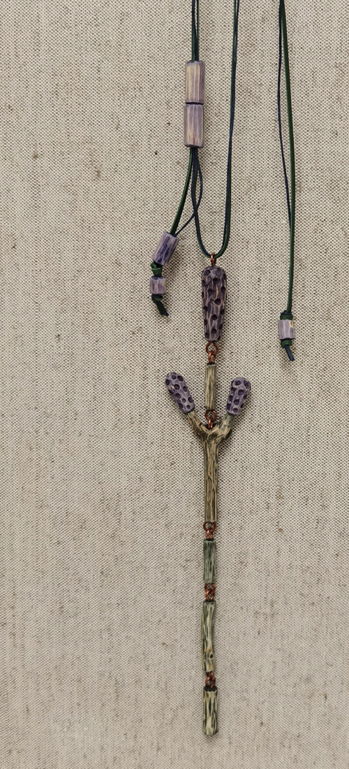Lavandula — foto 3