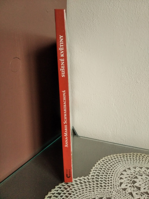 Sušené květiny — foto 3