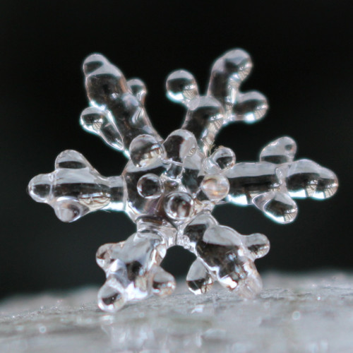 Vločky jako živé — foto 5
