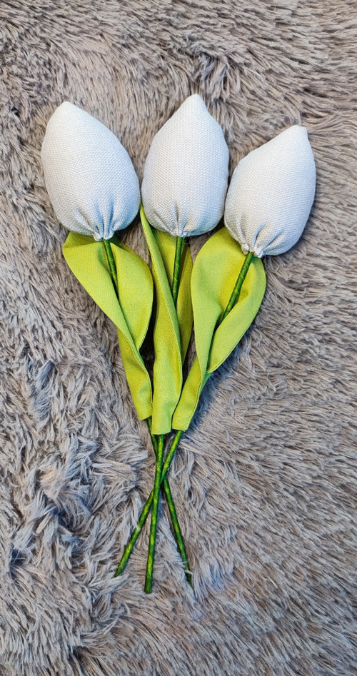 Tulipán šedá . č.1618 — foto 4