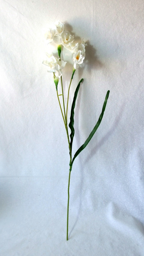 Narcis bílý 65 cm — foto 2