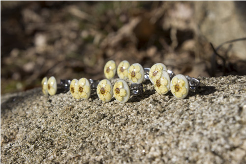 Náušnice – tavolník 8 mm — foto 6