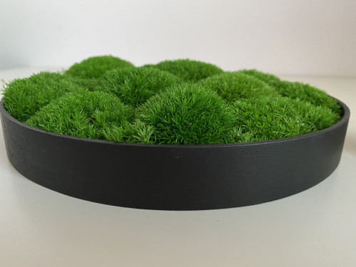Mechový obraz pr. 25cm - kopečkový — foto 6