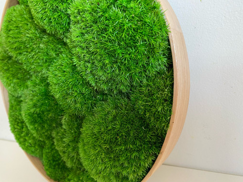 Mechový obraz pr. 25cm - kopečkový — foto 4
