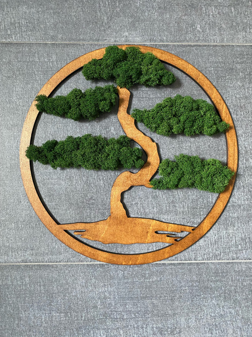 Mechová dekorace - bonsai pr. 20cm — foto 5