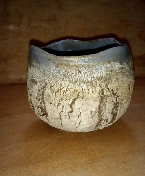 Sukulentník — foto 2