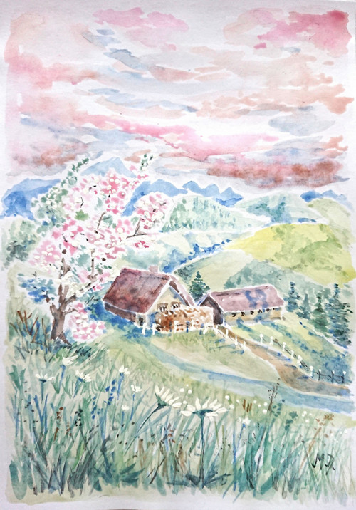 Jarní červánky — foto 2