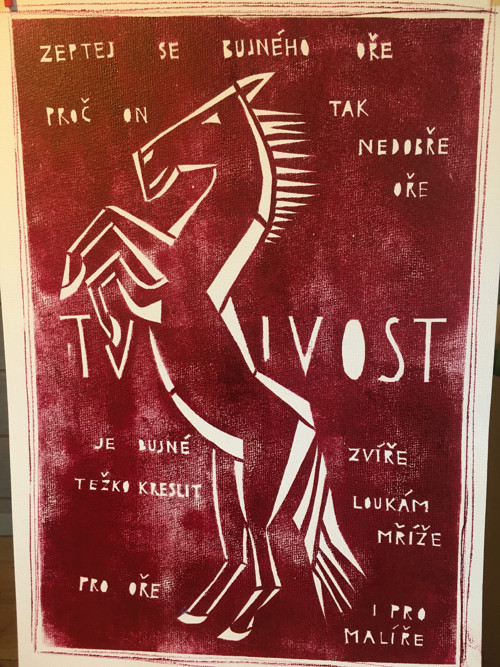 Bujný oř — foto 2