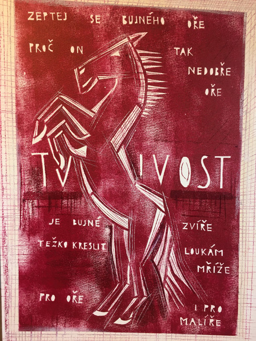 Bujný oř — foto 6