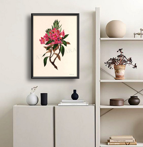 Z herbáře - rododendron — foto 3