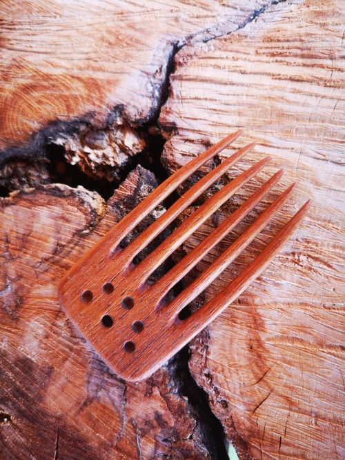 TEAK Teka obrovská - hřebínek — foto 2