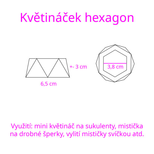 Květináček žlutorůžový — foto 5