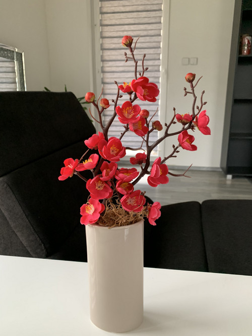 Sakura — foto 3