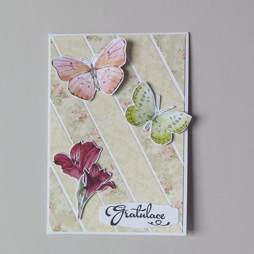 Gratulace s motýlky — foto 2