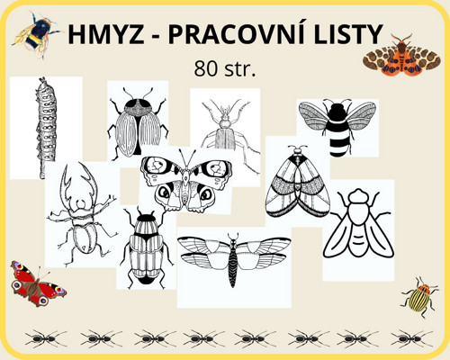 HMYZ - pracovní listy — foto 5