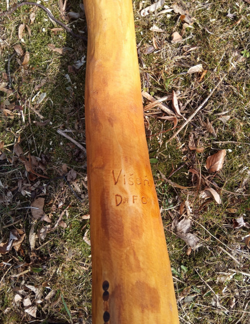 Didgeridoo - Višeň D# dis-short — foto 3