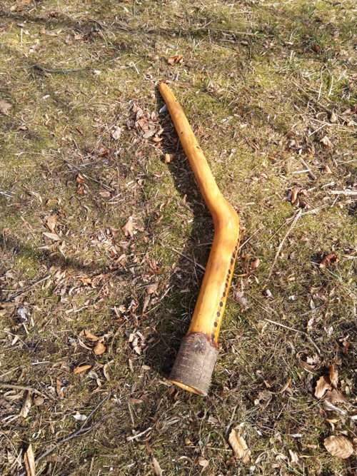 Didgeridoo - Višeň D# dis-short — foto 5