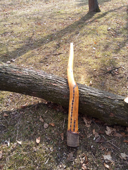 Didgeridoo - Višeň D# dis-short — foto 6