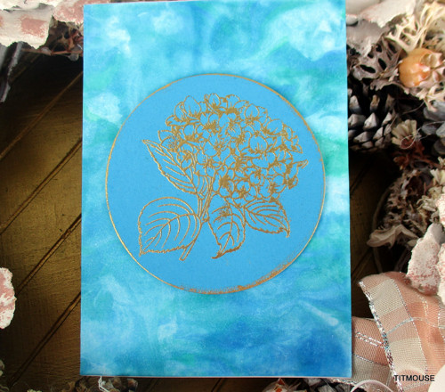 Hydrangea — foto 3