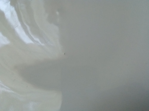 Mělký talíř bílý — foto 3