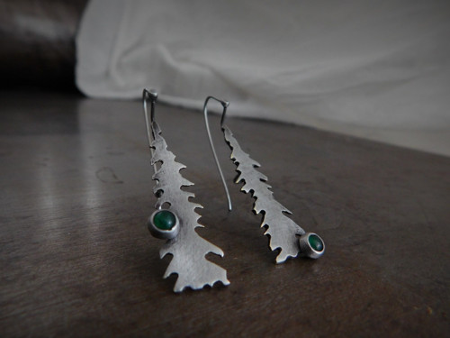 Picea abies... — foto 2