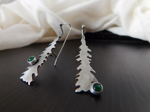 Picea abies... — foto 4
