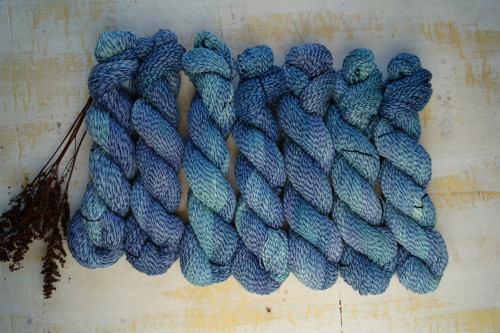 Pomněnka 100g BH19 — foto 2