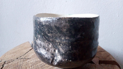 Sukulentka — foto 2