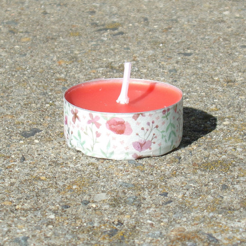 Letní louka — foto 3