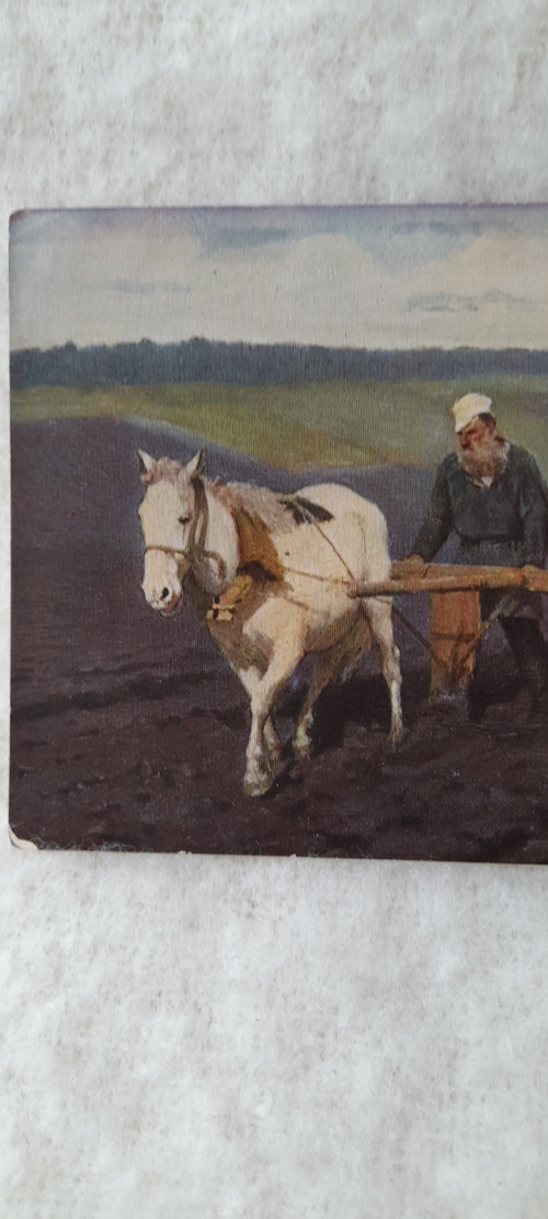 Hrabě Lev Tolstoj na polích - E. E. Repin — foto 2