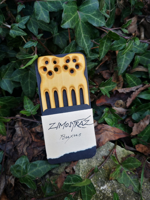 Zimosráz (Buxus) - hřebínek — foto 5