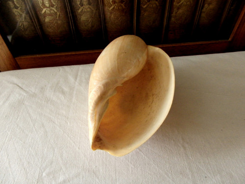 Melo amphora - lastura — foto 4