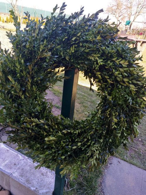 Zelenáč — foto 3