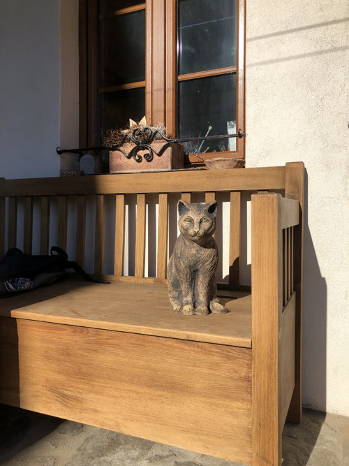 Zelenoočko....mňau.... — foto 4