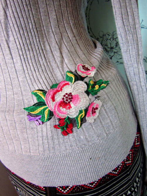 Svetřík folklore — foto 3
