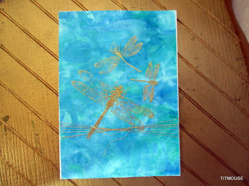 Dragonflies — foto 2