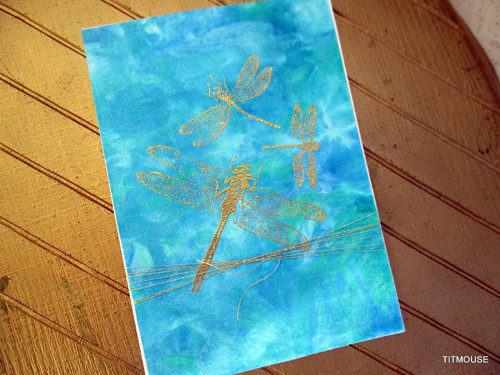 Dragonflies — foto 4