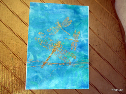 Dragonflies — foto 5