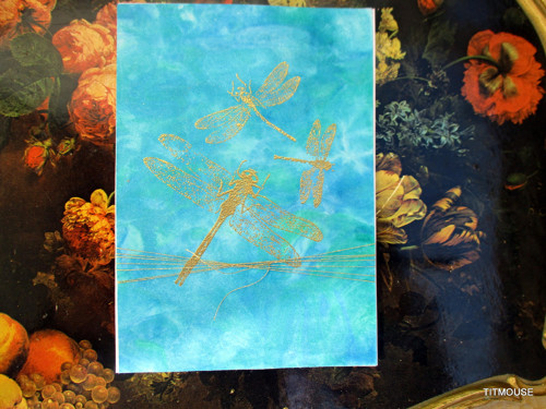 Dragonflies — foto 3